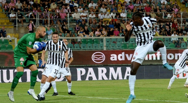 Palermo-Ascoli, è già big-match con il pubblico delle grandi occasioni al "Barbera"