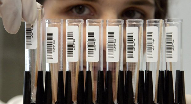 Al via i test in Gran Bretagna per un vaccino contro il colesterolo