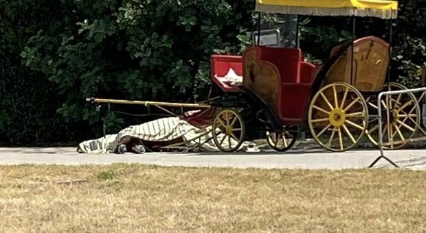 Cavallo morto in Reggia di Caserta non era autorizzato al trasporto