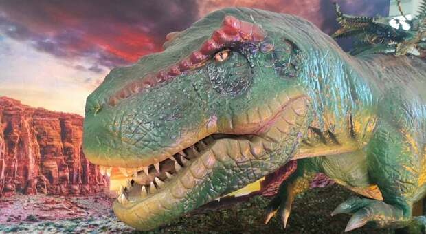 Mondragone, mostra “Living Dinosaurs” alla scoperta dei giganti del passato