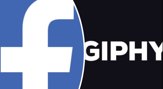 Facebook rileva Giphy: le GIF su Instagram saranno ancora più facili da trovare e condividere