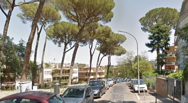 Roma, albero crolla ai Parioli e si schianta su due auto