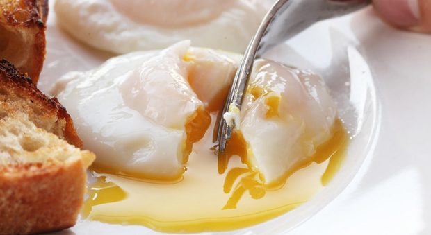 Salmonella, negli Stati Uniti ritirate duecento milioni di uova