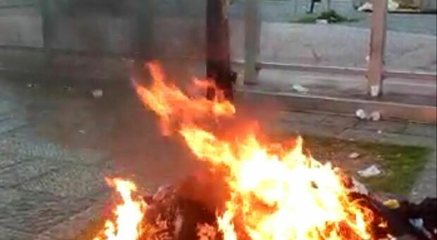Piazza Garibaldi, incendiato un albero: «Salvo per miracolo, serve un presidio fisso»
