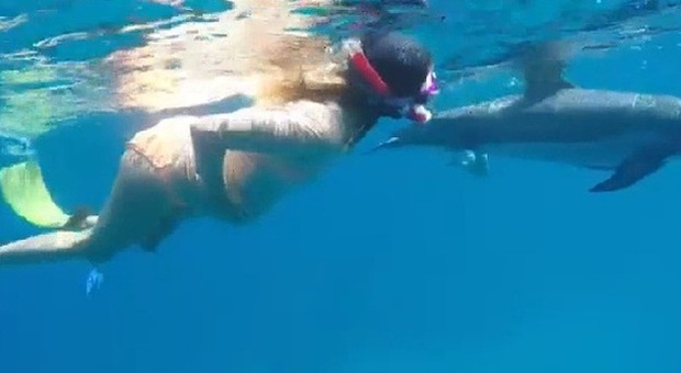 Incinta di 38 settimane, vuole partorire tra i delfini: "Mi aiuteranno nel travaglio"