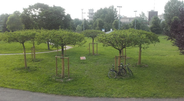 Parco Fornaci a Vicenza