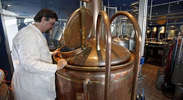 Boom birre artigianali nelle Marche sono già una sessantina le etichette