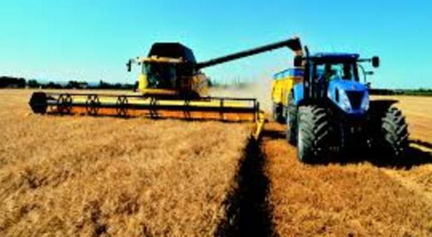 Coldiretti: «Soltanto dall'agricoltura può arrivare nuova occupazione»
