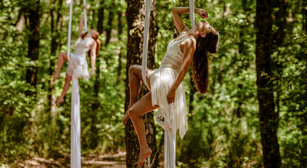 Le artiste di ImmaginAria si sono esibite in uno spettacolo di danza aerea "volando" tra alberi secolari