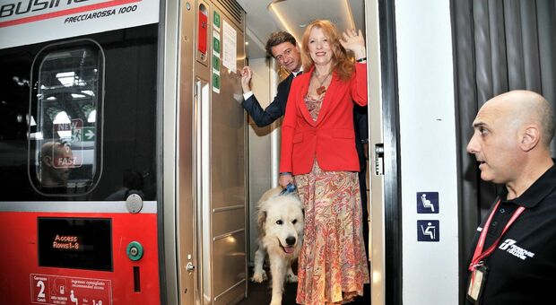Vacanze estive anche con gli amici e quattro zampe: cani e gatti in treno viaggiano gratis/Le promozioni di Trenitalia