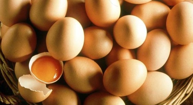 Salmonella, ritirati 207 milioni di uova: 22 intossicati, mai così dal 2010