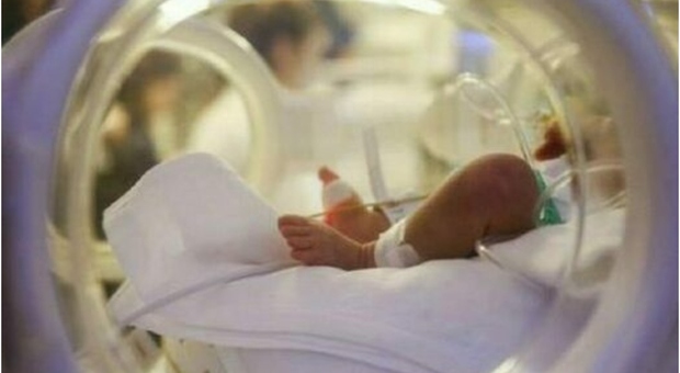 Covid, contagio dalla placenta: virus nel cervello di due neonati, uno muore dopo 13 mesi