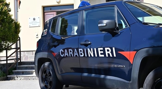L'operazione dei carabinieri