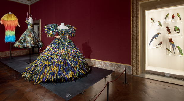 Animalia Fashion - Museo della Moda e del Costume di Palazzo Pitti (©photo Antonio Quattrone)