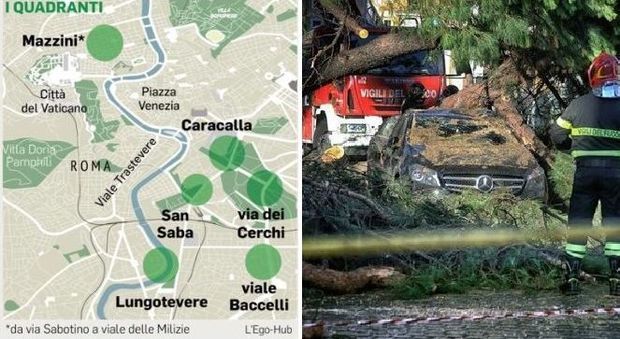 Roma, alberi killer: la mappa del rischio. Da Caracalla a San Saba 500 da abbattere