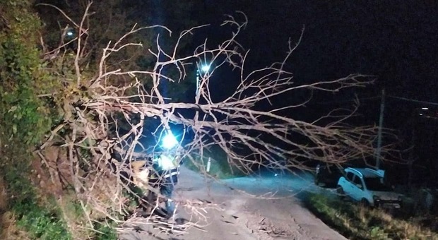 Fiastra, danni per il vento forte e disagi da maltempo: il sindaco ringrazia la Protezione Civile