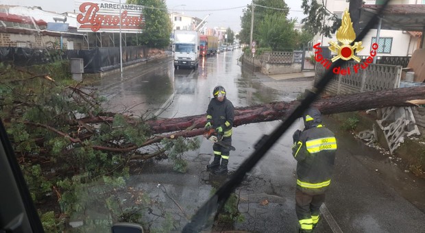 Maltempo, albero cade sulla Nettunense ad Aprilia. Rotta una tubatura del gas