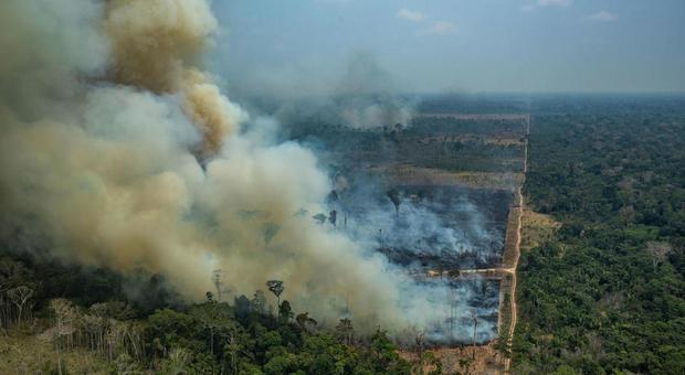 Amazzonia, ad agosto dati choc: deforestazione +300%. Bachelet: «Catastrofe umanitaria»