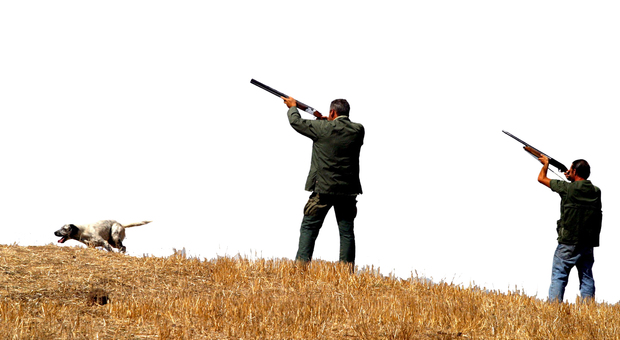Il nuovo piano caccia per 38mila cacciatori veneti fa scoppiare il Pd