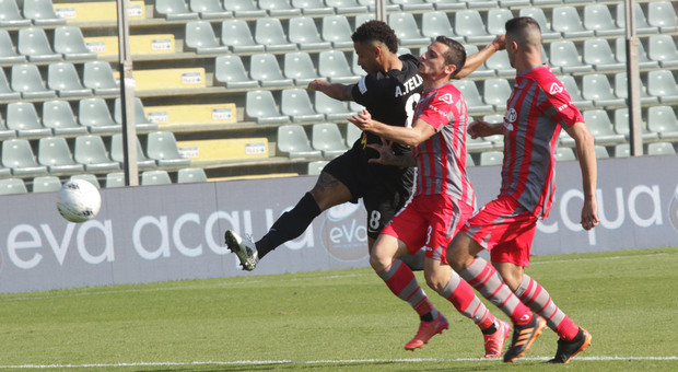 Cremonese-Benevento 1-1, Fagioli risponde al gollonzo di Tello