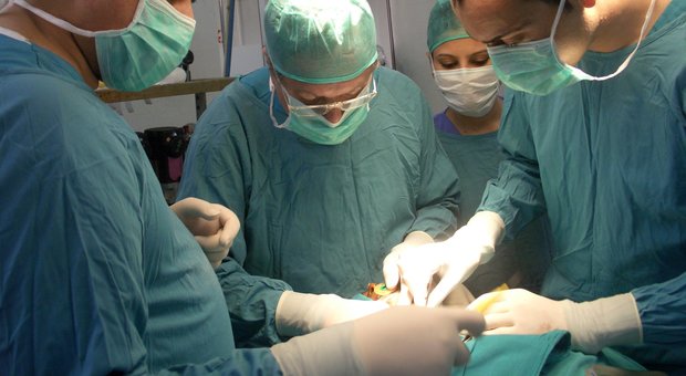 Medico confonde le cartelle e asporta un rene al paziente sbagliato: avevano lo stesso nome