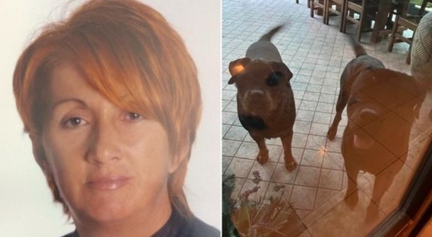 Sbranata dai suoi cani, donna muore nel Modenese
