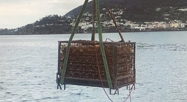 Un momento del recupero del container dei vini spumante di Ischia