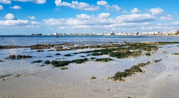 La bassa marea ridisegna il litorale: Porto Cesareo come in un quadro