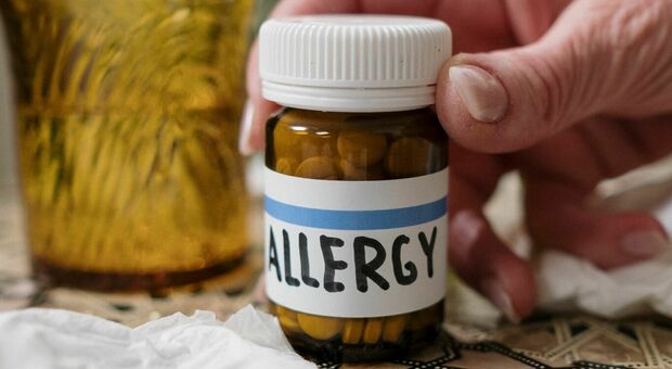 Sempre più persone soffrono di allergia (foto Pexels - cottonbro studio)