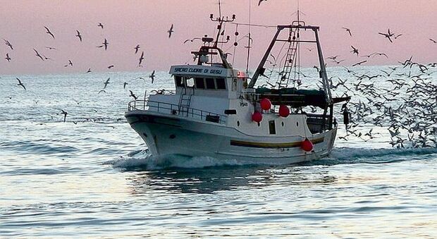 Fermo pesca e crisi marinerie, stop dal Ministero. I pescatori: «Temiamo l'arrivo dei pescherecci dall’estero»