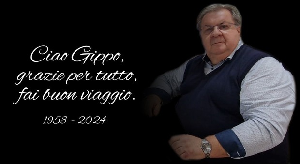 Gippo Gatto