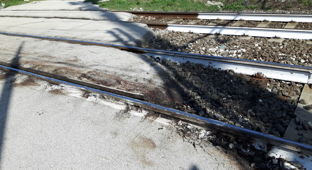 Cavalli investiti e uccisi sui binari treni cancellati, disagi in Campania