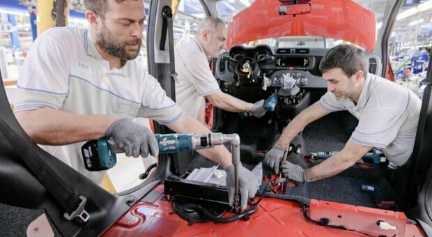 Alfa Romeo, Stellantis punta a rilancio nel mondo