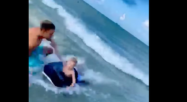 Squalo a riva in Florida, poliziotto-eroe si tuffa e salva il bambino sul materassino