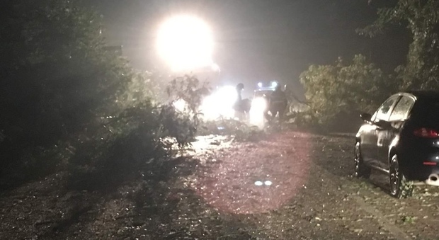 Emergenza maltempo sulla Cilentana, alberi invadono la strada a Poderia