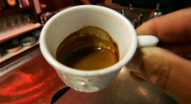 Caffé contaminato, l'allarme del ministero: «Ritirate dal mercato cialde e capsule nocive». Le marche coinvolte