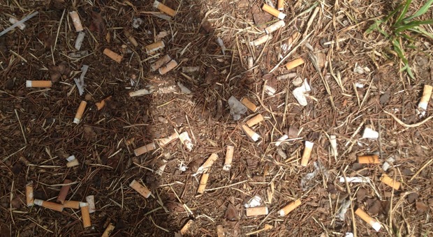 Mozziconi di sigaretta nel parco urbano