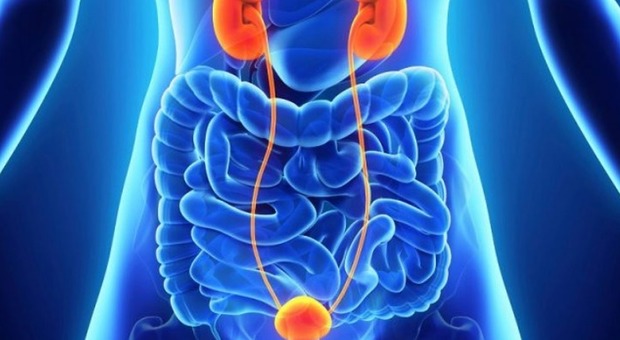 Tumori prostata, testicolo, rene e vescica: bollino blu al percorso di cura del Cardarelli