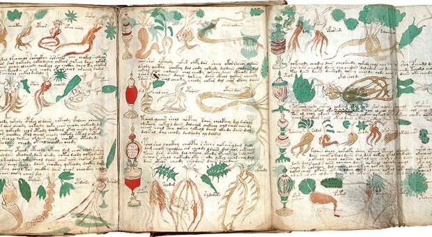 Decifrato il Voynich, il manoscritto più misterioso del mondo: era custodito nel castello d'Ischia