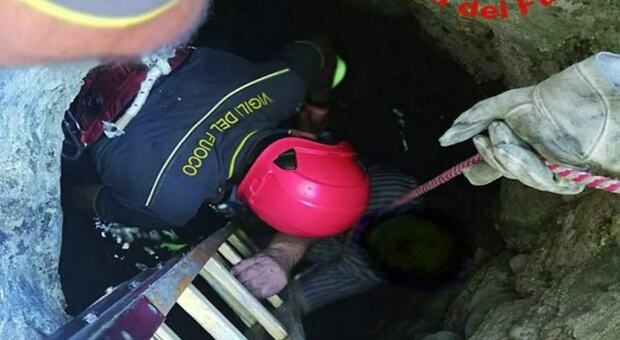 Cane da caccia in un pozzo a Porto Sant'Elpidio, nemmeno i sommozzatori riescono a salvarlo