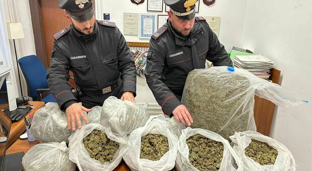 Marijuana rinvenuta dai carabinieri