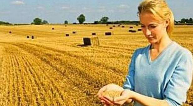 Mediocredito "apre" il fondo per i giovani agricoltori
