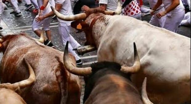 Corsa dei tori finisce in tragedia in Spagna, un uomo di 61 anni muore incornato: il video