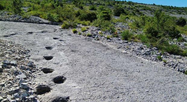 Dinosauri, i fossili trovati nelle Dolomiti svelano i segreti delle loro origini