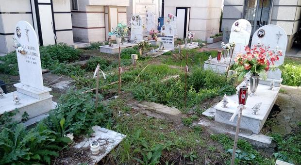 Ponticelli, manutenzione flop nel cimitero: pericolo per le fosse scoperte