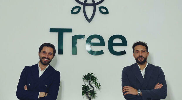 Tree, in Campania chance per i giovani che vogliono entrare nel mondo della formazione e del lavoro