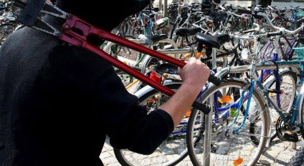 Colpo nella notte in un negozio di biciclette di Villorba: bottino da 25mila euro