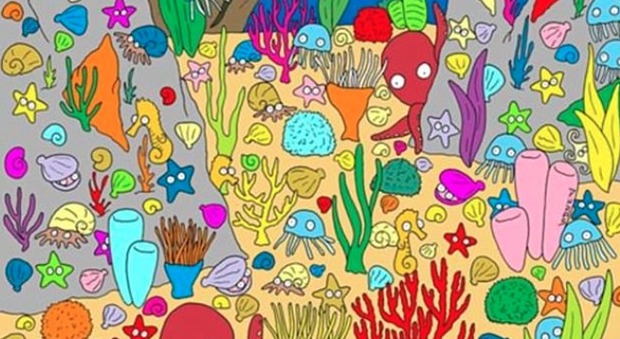 Riuscite a trovare il pesce tra crostacei e meduse? Ecco il rompicapo dell'estate che fa impazzire il web