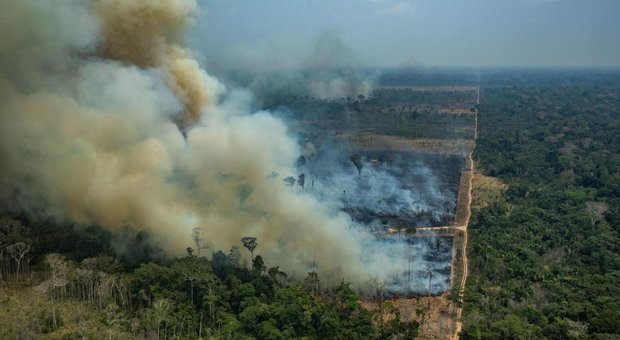 Amazzonia, nuovo allarme deforestazione: cresciuta in un anno del 300%
