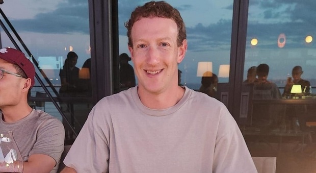 Il nuovo business di Mark Zuckerberg? Bovini allevati con la birra: «Sarà la migliore carne al mondo»